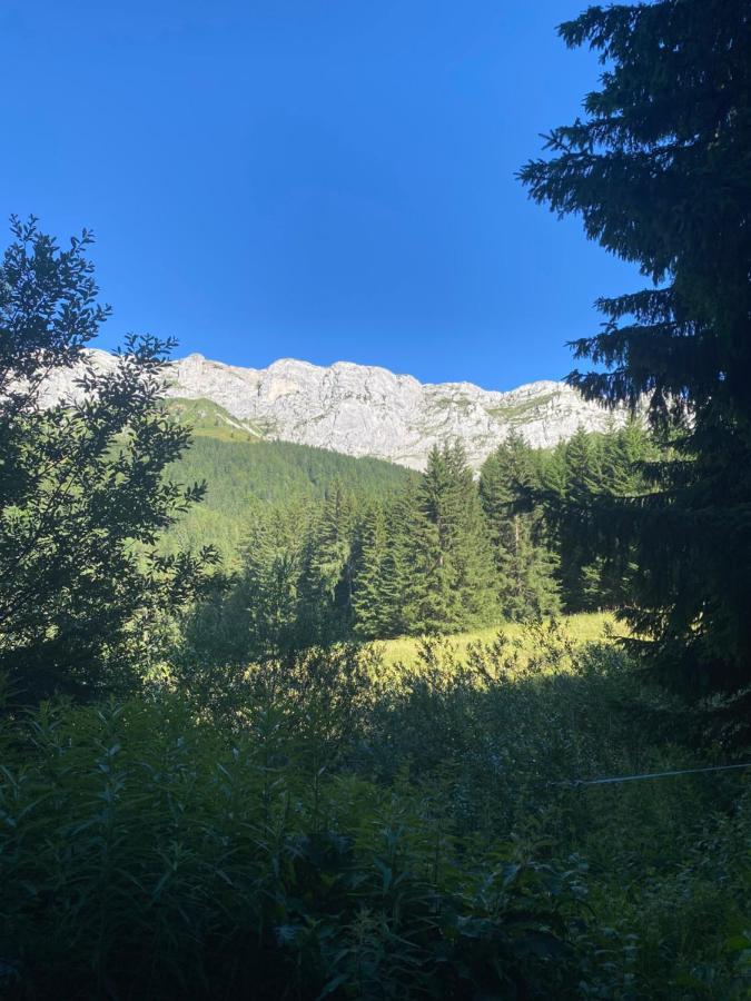 Crêtes Du Vercors Vue Magnifique